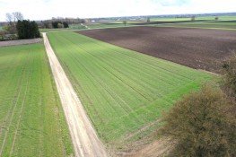 Hauptbild Die seltene Gelegenheit für ihren Betrieb! 1,19 ha Ackerland in Wittislingen