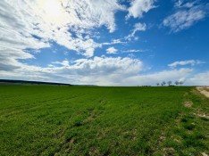 Hauptbild 1,56 ha Ackerland/Grünland/ landw. Flächen in Göppingen - Bezgenriet / tolles Investment