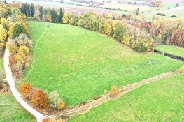 Hauptbild Grünland / Ackerland / Wiese / ca. 8,27 ha Gemarkung Dischingen